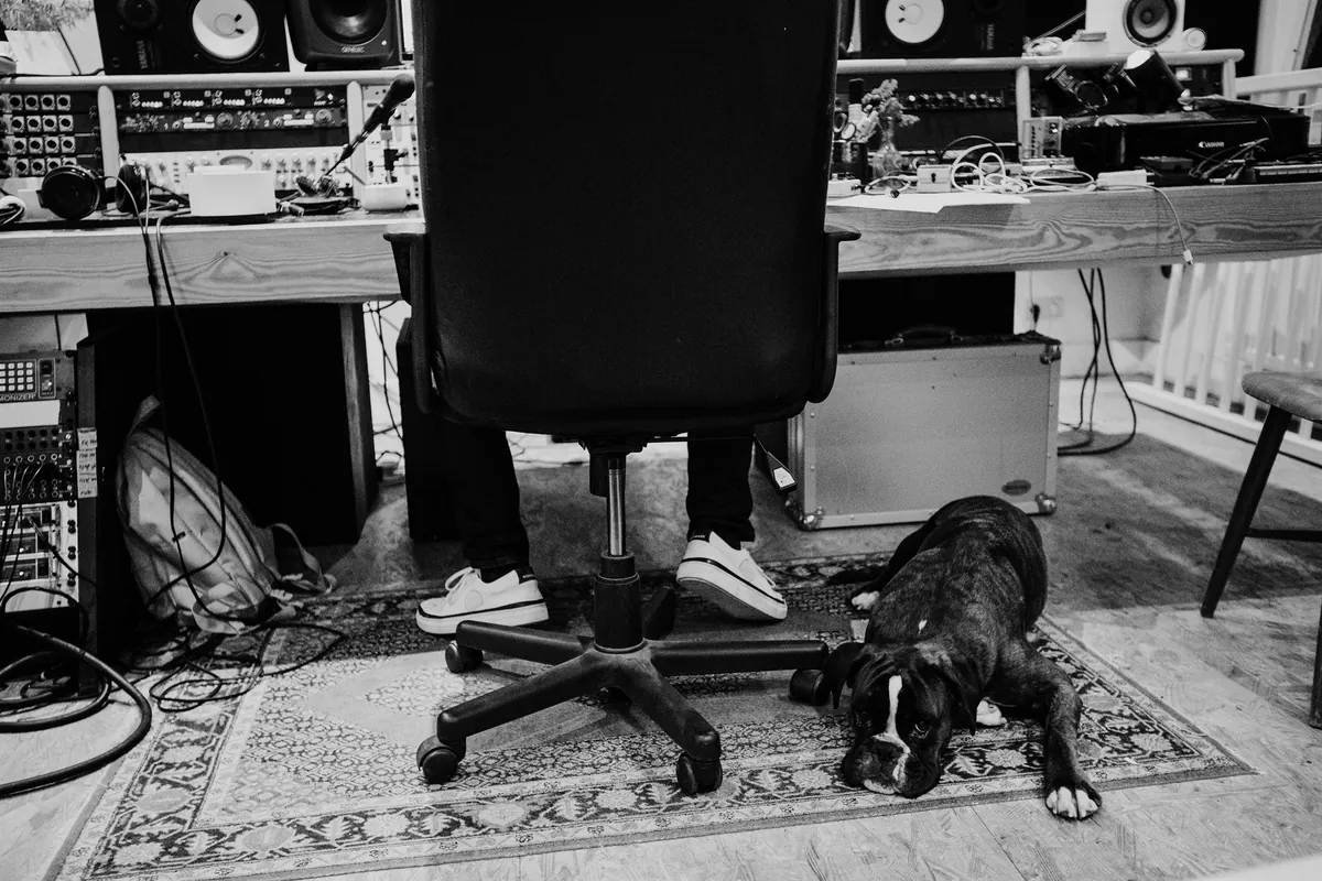 Studio Swamp